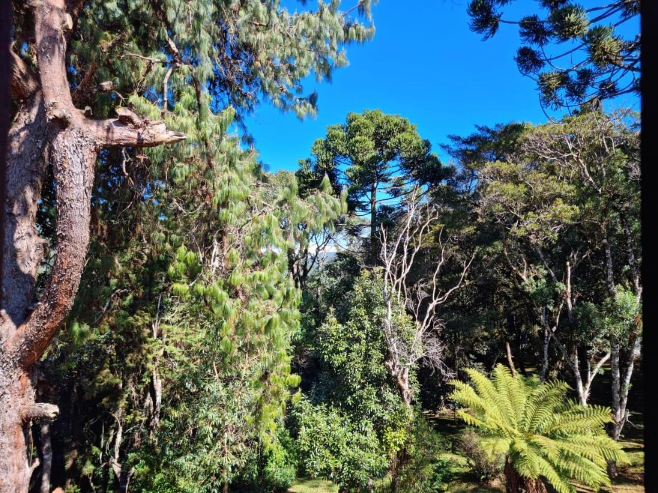 Pousada Brisa Da Mantiqueira Ξενοδοχείο Monte Verde  Εξωτερικό φωτογραφία